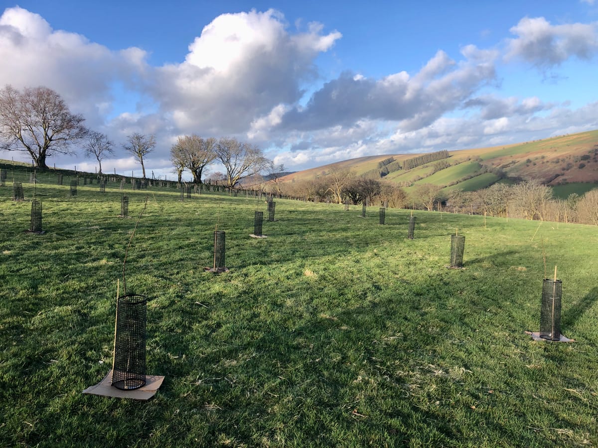 Chapter 5: Fruity Changes 🍏 🍐