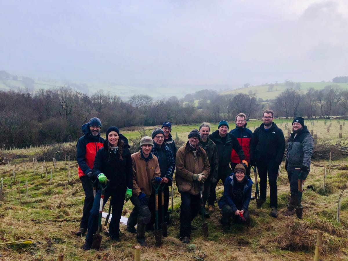 Chapter 12: Tree planting ‘26 🌱