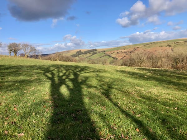 Chapter 3: Earthed 🌍