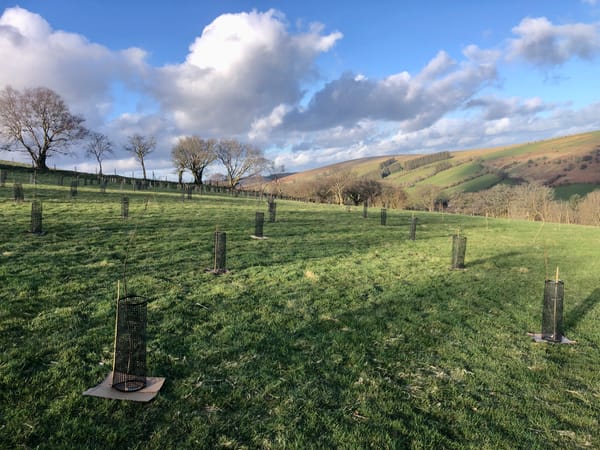 Chapter 5: Fruity Changes 🍏 🍐